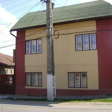 Pensiunea Shalom Sîncraiu Exteriör bild